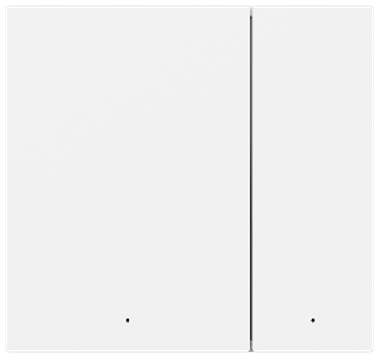 ZB Single-Live-Wire P10 Series 2-Gang 2-Button Switch Panel