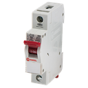 MCB 1P 125A 6kA Type C - 60119